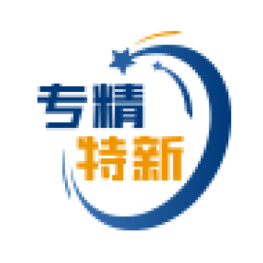 专精特新中小企业